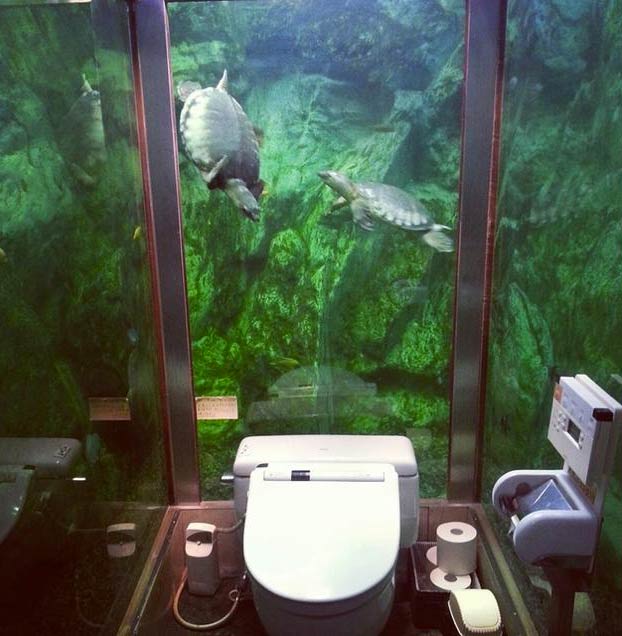 Así es el famoso baño acuario de Japón: Solo para mujeres, rodeado de agua y con cientos de peces mirándote