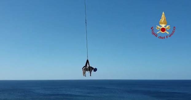 Los bomberos de Cerdeña rescatan en el helicóptero a una vaca que quedó atrapada en unas rocas escarpadas