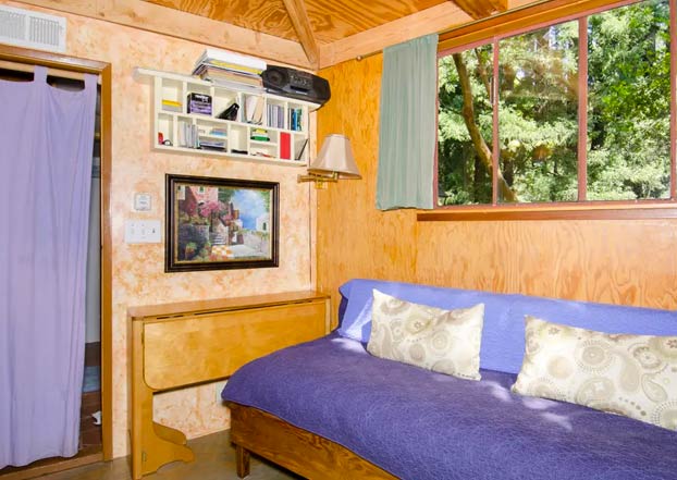 ''La Cúpula de Hongos'', una casita de madera, el alojamiento más visitado de Airbnb durante años