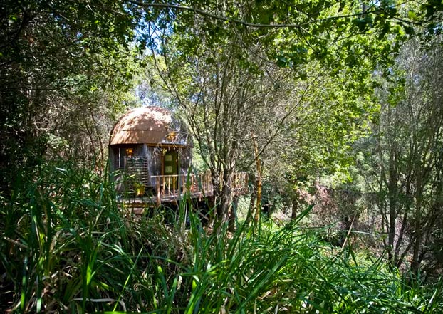 ''La Cúpula de Hongos'', una casita de madera, el alojamiento más visitado de Airbnb durante años