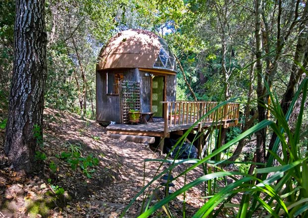 ''La Cúpula de Hongos'', una casita de madera, el alojamiento más visitado de Airbnb durante años