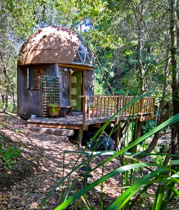 ''La Cúpula de Hongos'', una casita de madera, el alojamiento más visitado de Airbnb durante años