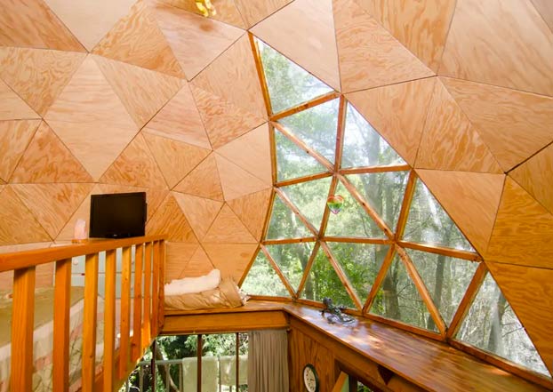 ''La Cúpula de Hongos'', una casita de madera, el alojamiento más visitado de Airbnb durante años