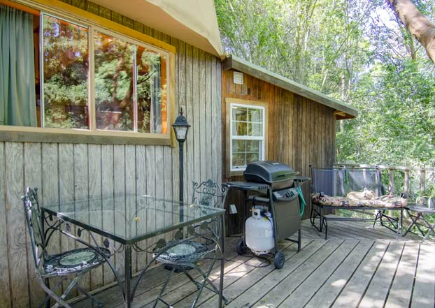 ''La Cúpula de Hongos'', una casita de madera, el alojamiento más visitado de Airbnb durante años