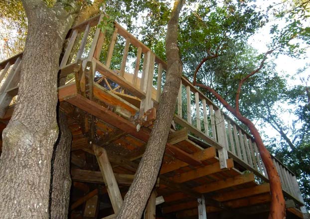 ''La Cúpula de Hongos'', una casita de madera, el alojamiento más visitado de Airbnb durante años