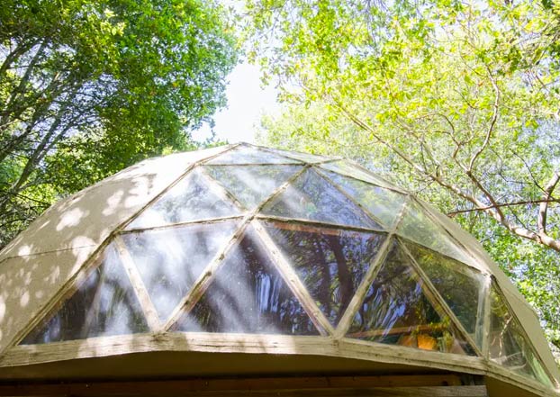 ''La Cúpula de Hongos'', una casita de madera, el alojamiento más visitado de Airbnb durante años