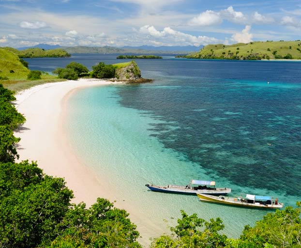 La isla de Komodo se cierra a los turistas porque la gente está robando dragones