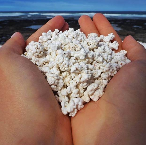 Popcorn Beach, una playa de Fuerteventura que tiene unas pequeñas algas que parecen palomitas