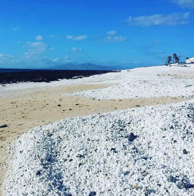 Popcorn Beach, una playa de Fuerteventura que tiene unas pequeñas algas que parecen palomitas