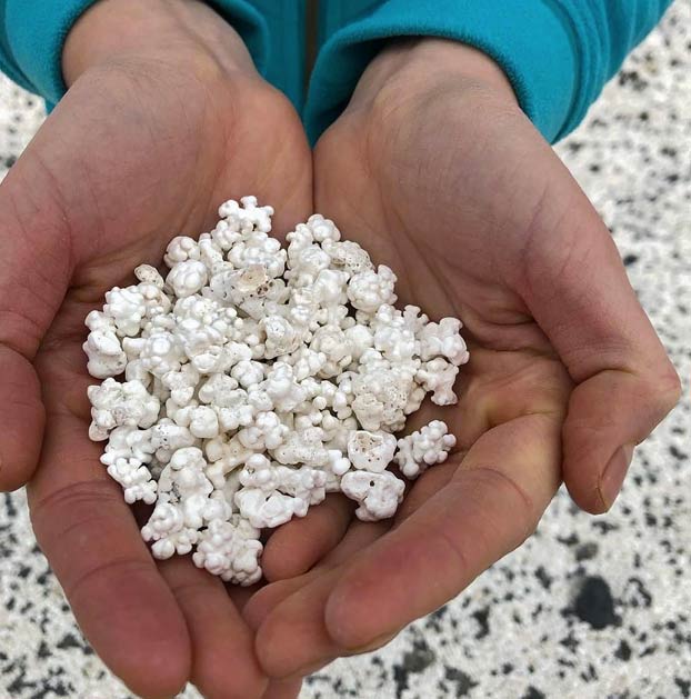 Popcorn Beach, una playa de Fuerteventura que tiene unas pequeñas algas que parecen palomitas