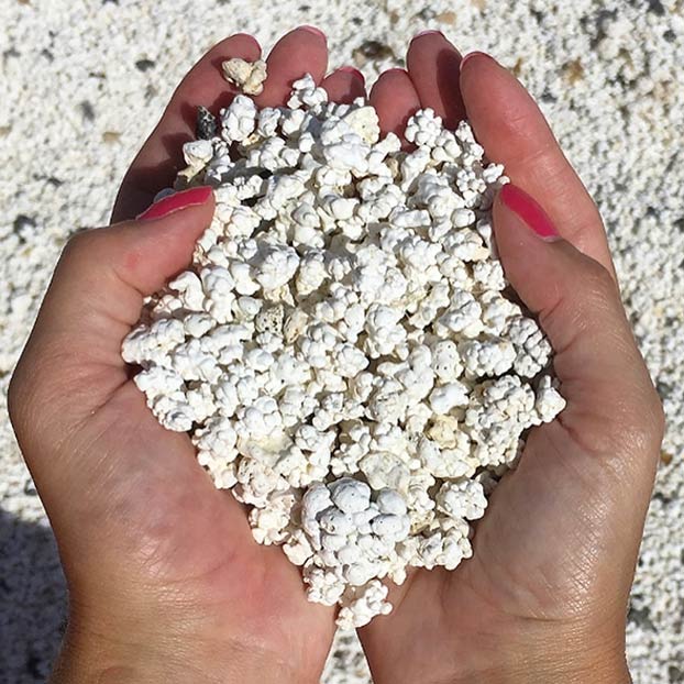 Popcorn Beach, una playa de Fuerteventura que tiene unas pequeñas algas que parecen palomitas