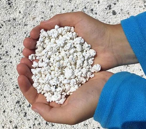 Popcorn Beach, una playa de Fuerteventura que tiene unas pequeñas algas que parecen palomitas