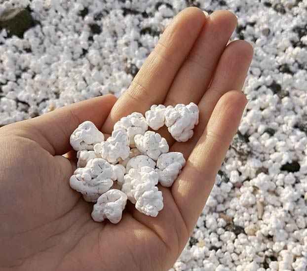 Popcorn Beach, una playa de Fuerteventura que tiene unas pequeñas algas que parecen palomitas