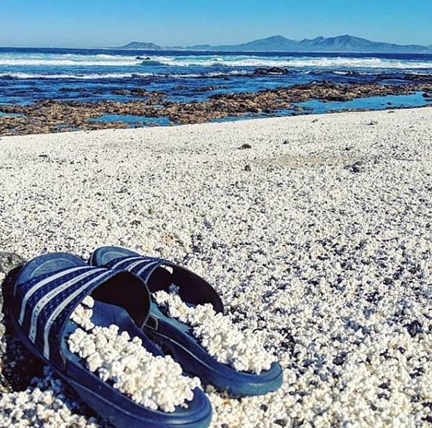 Popcorn Beach, una playa de Fuerteventura que tiene unas pequeñas algas que parecen palomitas