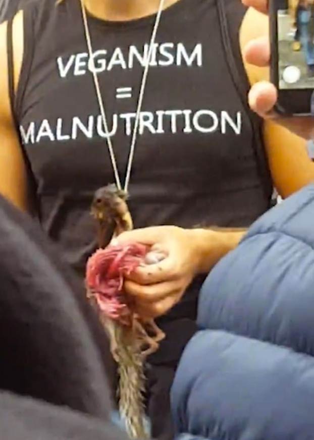 Un youtuber anti-vegano es detenido después de comerse una ardilla cruda delante de un mercado vegano