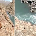 Un oso cae por un acantilado al intentar escapar de un grupo de personas que lo estaban apedreando