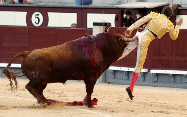 Momento en el que el torero Juan Leal recibe una cornada en el recto en Las Ventas