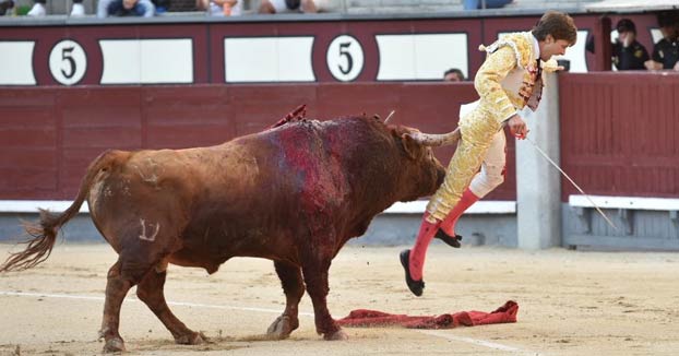 Momento en el que el torero Juan Leal recibe una cornada en el recto en Las Ventas