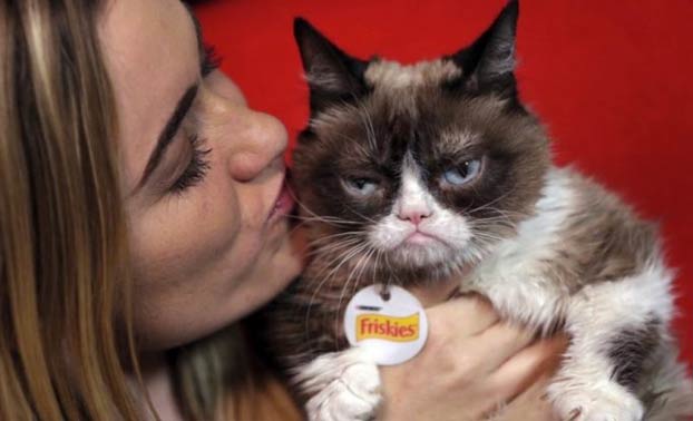 Muere a los 7 años Grumpy Cat, la gata más famosa de Internet