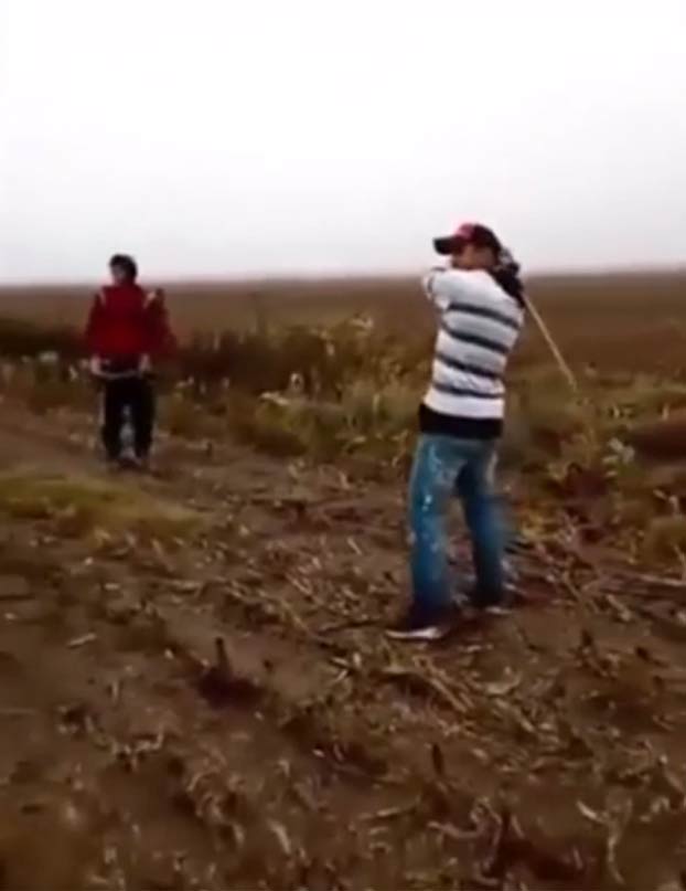 Varios jóvenes matan a un perro al usarlo como pelota para jugar al béisbol