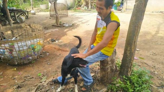 Una joven de 15 años entierra vivo a su bebé y es rescatado por el perro de un pastor