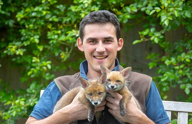 Un hombre salva a cuatro cachorros de zorro haciendo una cesárea a su madre fallecida