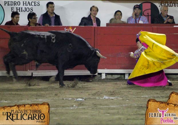 La torera Hilda Tenorio recibe al toro de rodillas y este la embiste golpeándole en la boca