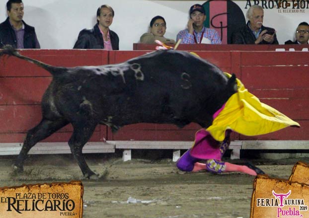 La torera Hilda Tenorio recibe al toro de rodillas y este la embiste golpeándole en la boca