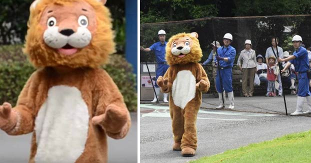 Un hombre se disfraza de león para que los empleados del zoo practiquen cómo actuar cuando se escapa uno de verdad