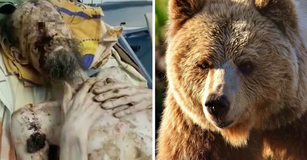 La historia de un hombre que sobrevivió un mes atrapado en la guarida de un oso en Rusia: ''Me guardó como comida para el futuro''