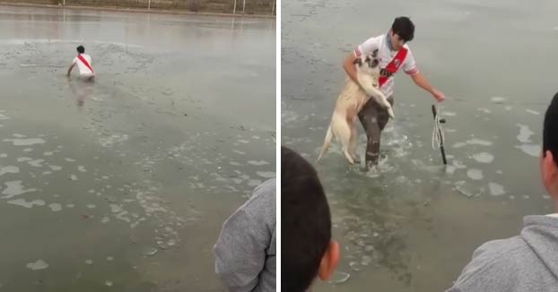 Un joven no duda en meterse en un lago congelado para salvar a un perro que se quedó atrapado