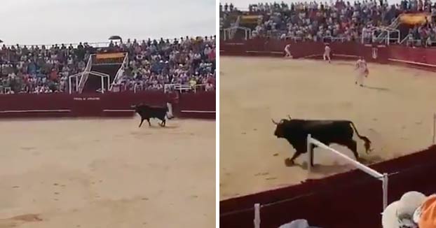 Muere un torilero tras una cogida en la plaza de toros de Benavente