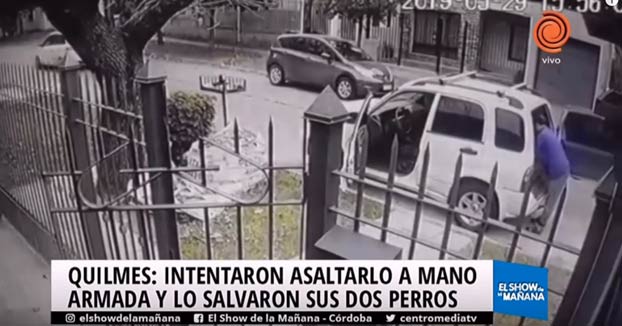 Intentan robarle a mano armada en la puerta de su casa y sus dos perros le salvan