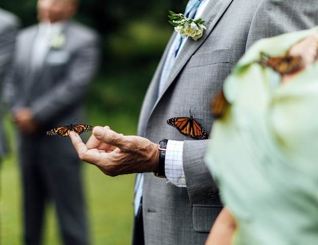 Honran a su difunta hija durante una boda soltando mariposas, pero en lugar de volar se posan sobre ellos