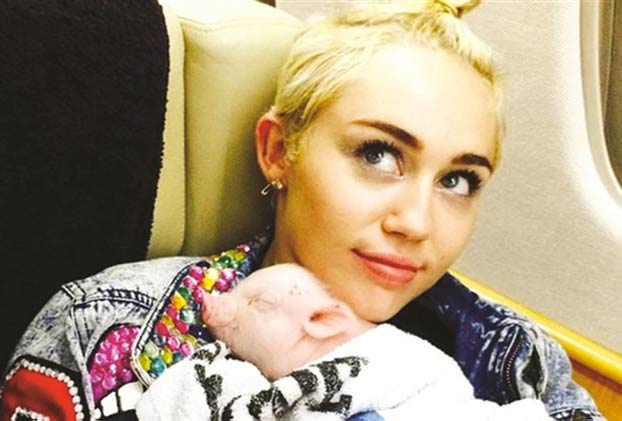 Muere la cerda de Miley Cyrus