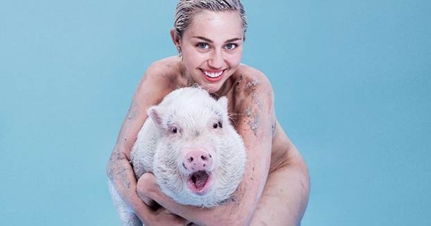 Muere la cerda de Miley Cyrus