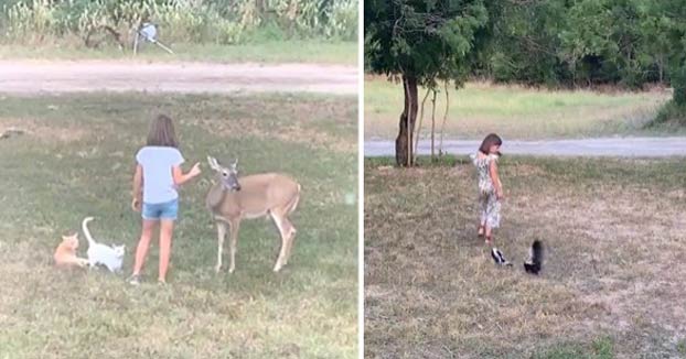 Laurie, la niña que se comunica con los animales como si fuera el Doctor Dolittle en la vida real