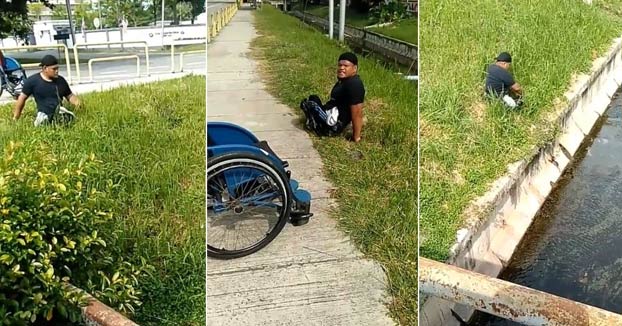 Un deportista paralímpico se baja de su silla de ruedas para salvar a un gato en apuros