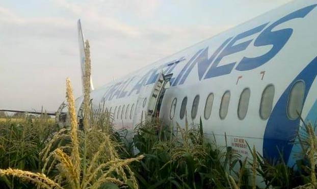 Milagroso aterrizaje de un avión en un campo de maíz cerca de Moscú