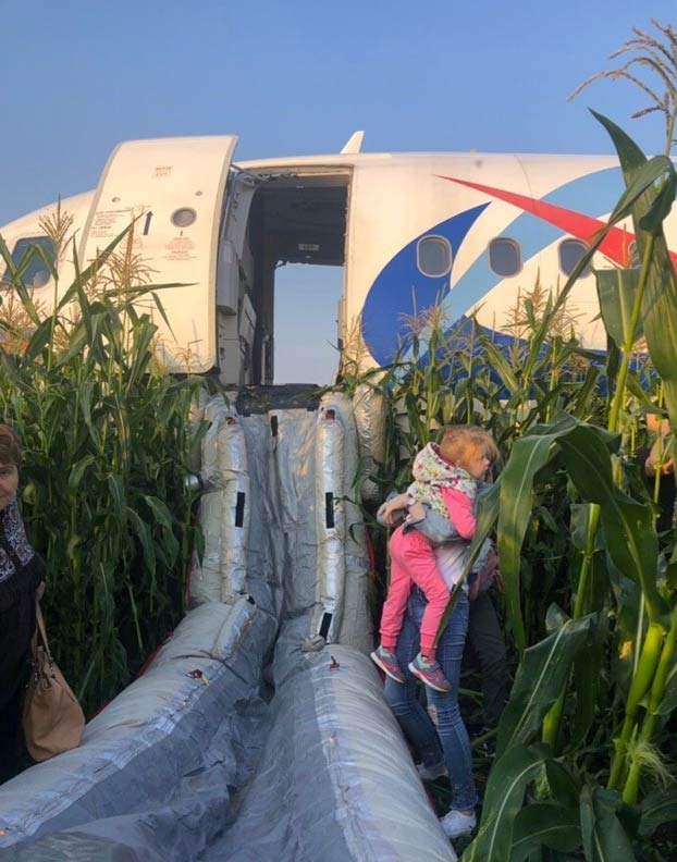 Milagroso aterrizaje de un avión en un campo de maíz cerca de Moscú