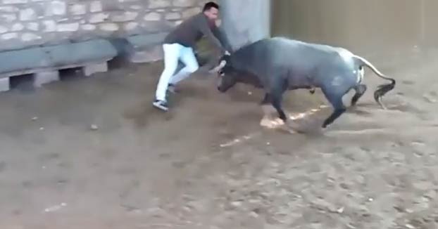 Un joven herido con dos cornadas en el encierro de Tafalla, en Navarra