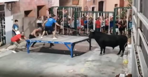 Un toro embiste y lanza por los aires a un hombre en Calpe