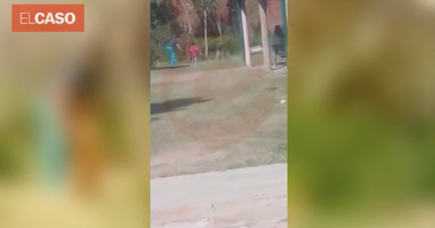 Graban a una mujer ahorcando y apuñalando al perro de su vecino