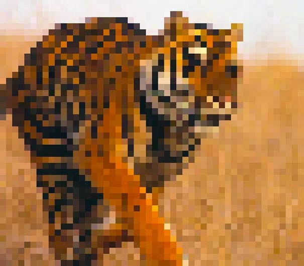 Fotografías compuestas con tantos píxeles como animales que quedan de cada especie
