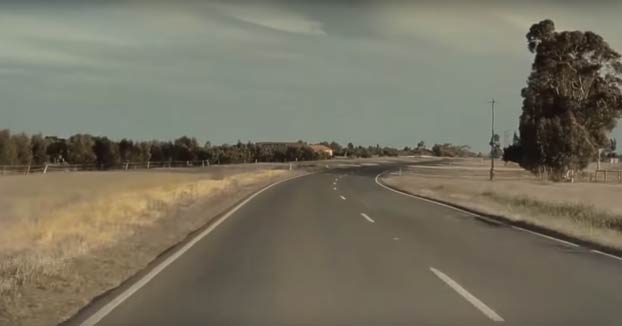 El autopilot de un Tesla Model 3 reconoce una familia de patos cruzando la carretera y consigue esquivarlos