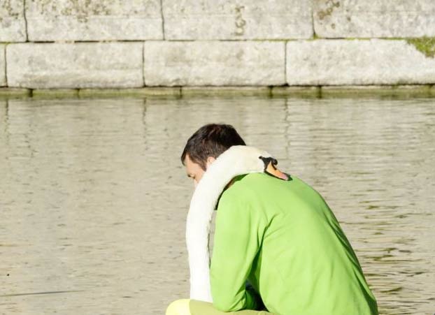 La insólita relación entre un cisne y un jardinero del Monasterio de El Escorial