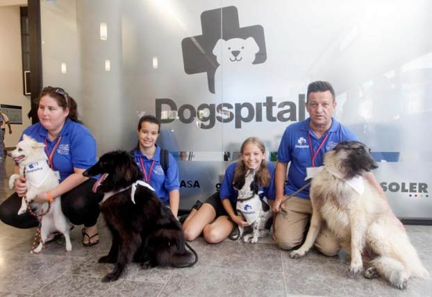 El hospital Can Misses de Ibiza tiene un espacio para que las personas ingresadas puedan recibir visitas de sus mascotas