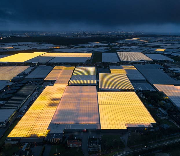 Invernaderos LED en Holanda vistos desde el aire