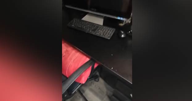Un padre estaba buscando las pesas de su hijo debajo del escritorio y encontró otra cosa