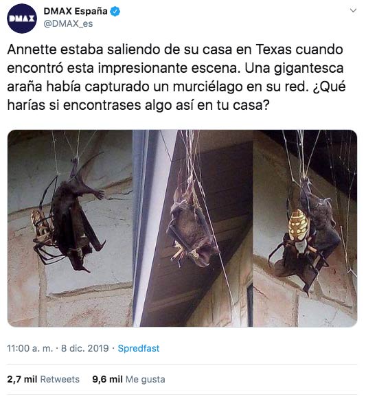 ''Annette estaba saliendo de su casa en Texas cuando encontró esta impresionante escena...''